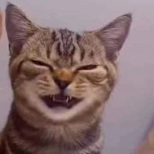 Meet your Posher, Ansley